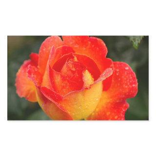 Orange Rose Floral Rectangular Sticker