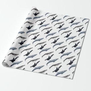 Orca, hunchbacked whale and gray whale