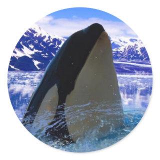 Orca Sticker/Seals Classic Round Sticker