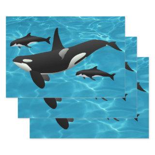 Orca Whales  Sheets