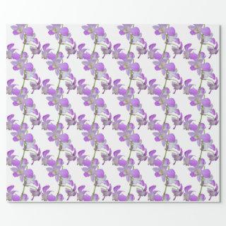 Orchid Purple and White