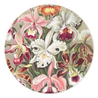 Orchids, Orchideae Denusblumen by Ernst Haeckel Classic Round Sticker