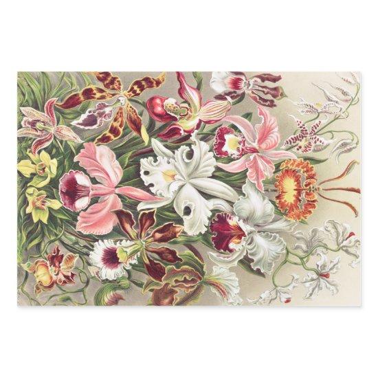 Orchids, Orchideae Denusblumen by Ernst Haeckel  Sheets