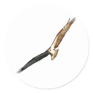 Osprey Classic Round Sticker