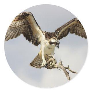 Osprey Classic Round Sticker