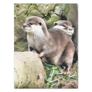 OTTERS TISSUE PAPER