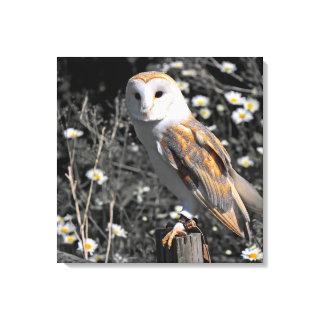 Owl Portrait Canvas Print