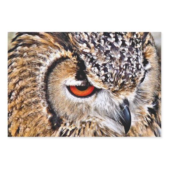 OWL  SHEETS