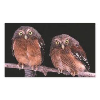 OwlsSticker Rectangular Sticker