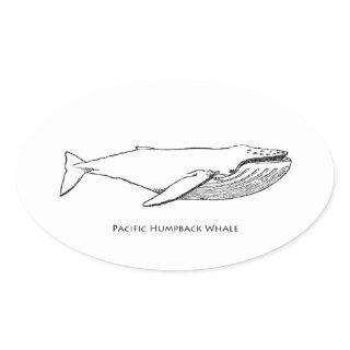 Pacific Humpback Whale Oval Sticker