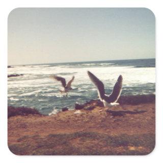 Pacific Oceanside Seagull Stickers