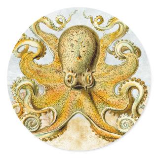 Painted Nautical Octopus Kraken Squid Classic Round Sticker