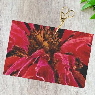 Painterly Vivid Red Bee Belm Flower Closeup Tissue Paper