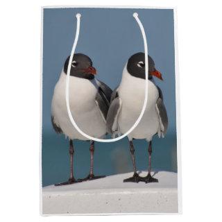 Pair of Black Headed Gulls Medium Gift Bag