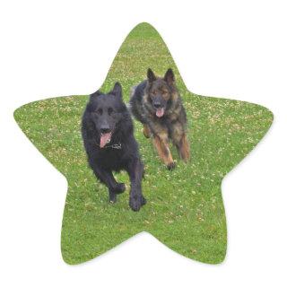 Pair of German Shepherds Star Sticker