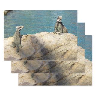 Pair of Iguanas Tropical Wildlife Photography  Sheets
