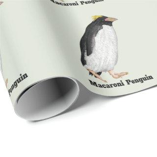 Palaeeudyptes Extinct Penguin