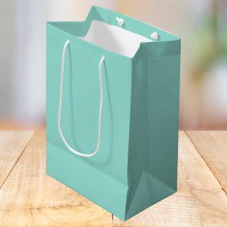 Pale Robin Egg Blue Solid Color Medium Gift Bag