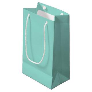 Pale Robin Egg Blue Solid Color Small Gift Bag