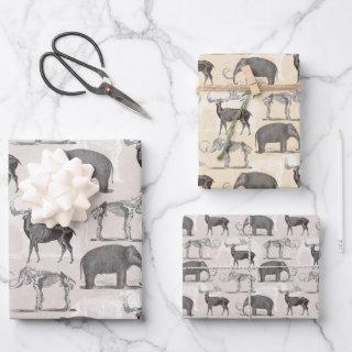 Paleontologist Woolly Mammoth and Giant Irish Elk  Sheets
