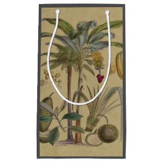 Palm Antique Tropical Fruit Botanical Art Small Gift Bag