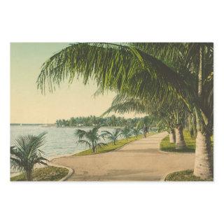 Palm Beach Florida vintage 1898  Sheets