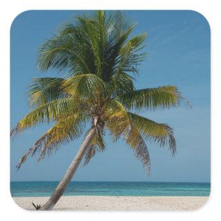 Palm tree and white sand beach  2 square sticker