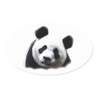 Panda Oval Sticker