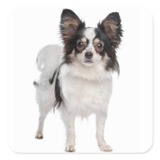 Papillon Puppy Dog - Love Puppies Square Sticker