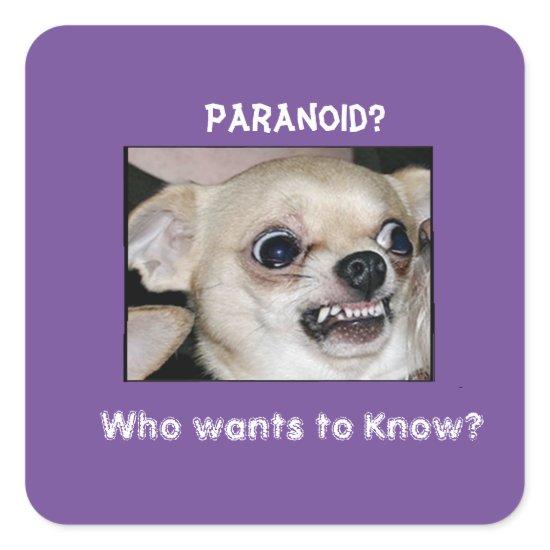 Paranoid Chihuahua stuck on Barking Anxiety Square Sticker