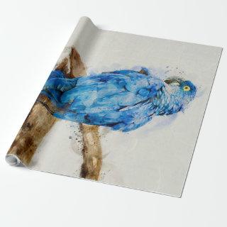 Parrot Lover Gift | Beautiful Parrot | Gift