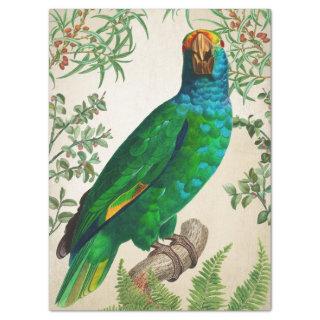 Parrot Vintage Art Tissue Paper