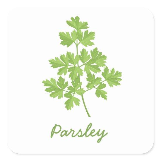 Parsley Square Sticker