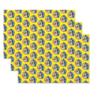 Party Chipmunk In Sombrero  Sheets