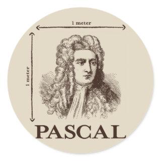 Pascal = 1 newton per square meter math joke classic round sticker