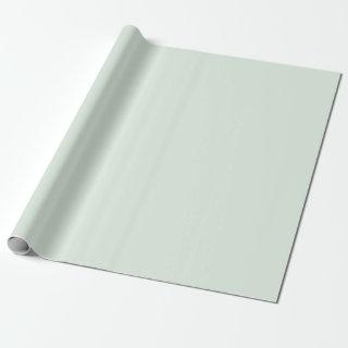 Pastel Mint Green Solid Color