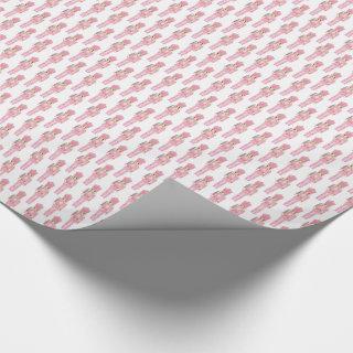 Pastel Pink Nutcracker Ballet Christmas Holidays