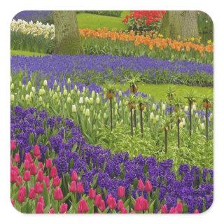 Pattern of tulips hyacinth, and Grape Hyacinth Square Sticker
