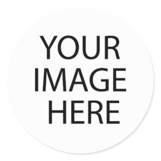 PayPal Classic Round Sticker