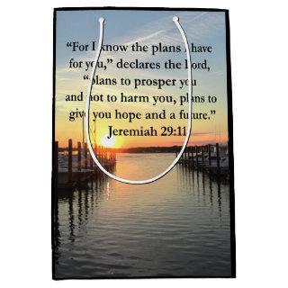 PEACEFUL JEREMIAH 29:11 SUNSET MEDIUM GIFT BAG