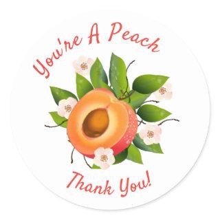 Peach Fruit Canning | Thank You Envelope Seal