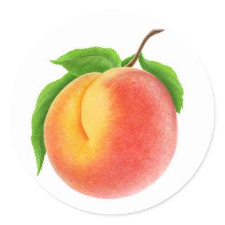 Peach on a branch classic round sticker