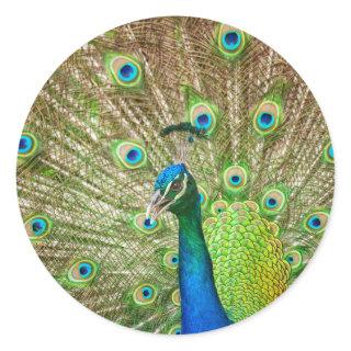 Peacock Classic Round Sticker