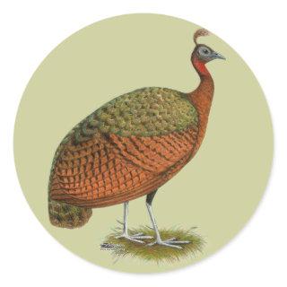 Peafowl:  Congo Peahen Classic Round Sticker