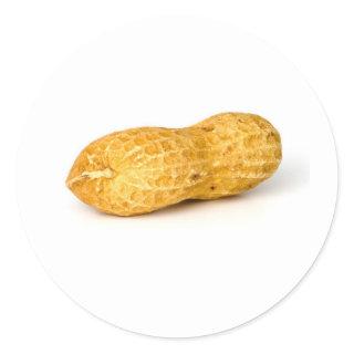 Peanut Classic Round Sticker