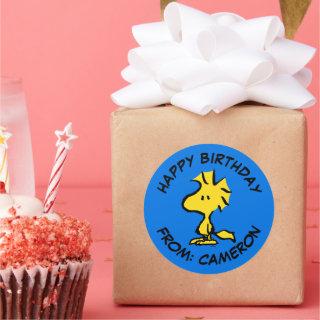 Peanuts | Woodstock | Happy Birthday Classic Round Sticker