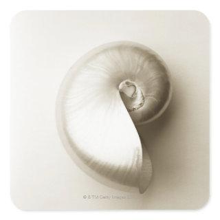 Pearlised nautilus sea shell 2 square sticker
