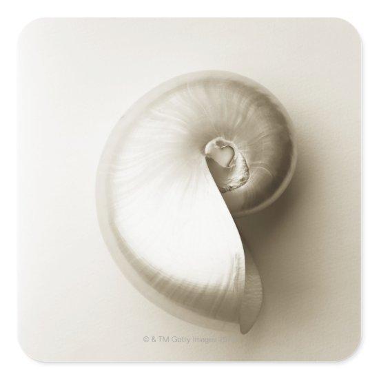 Pearlised nautilus sea shell 2 square sticker