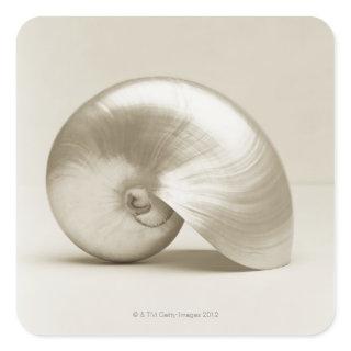 Pearlised nautilus sea shell square sticker