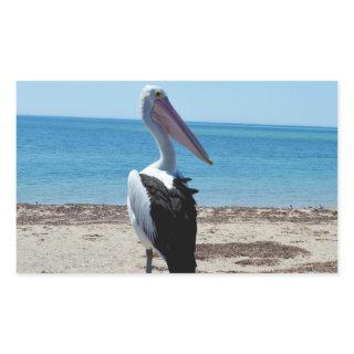 Pelican On Beach Rock, Rectangular Sticker